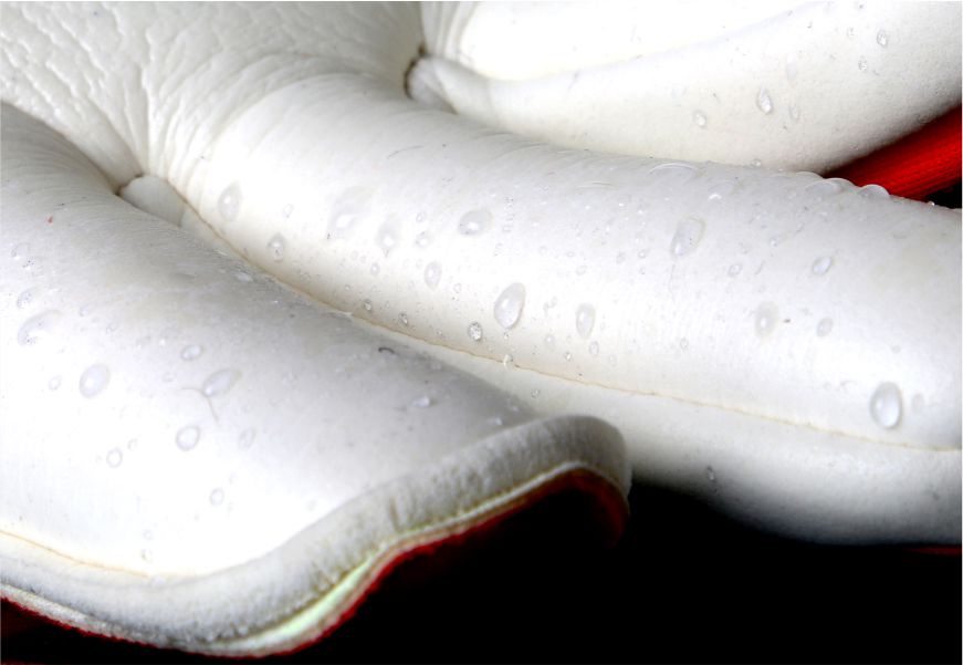 goalkeeper gloves with wet grip